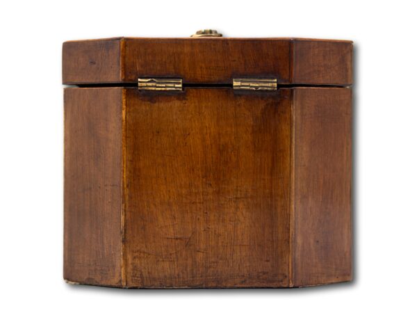 Rear of the Tea Caddy