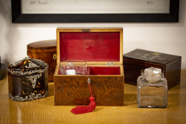 Burr Yew Tea Chest in a decorative collectors setting