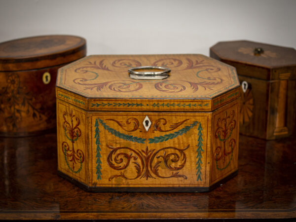 Georgian Tea Caddy in a decorative collectors setting