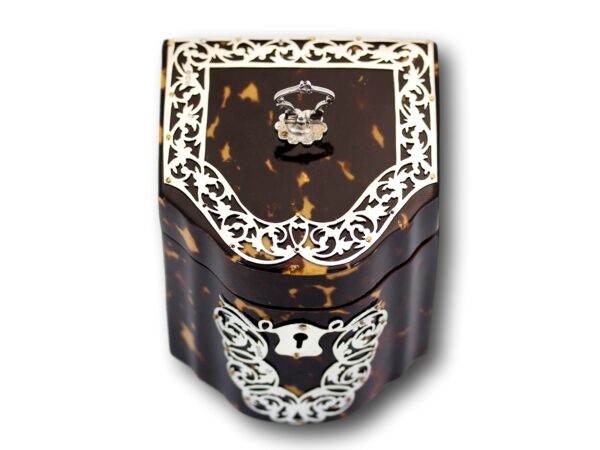 Top of the Novelty Knife Box Tea Caddy