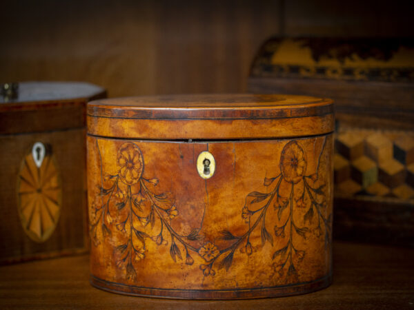 Georgian Satinwood Tea Caddy in a decorative collectors setting to see the scale