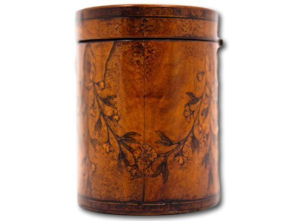 Side of the Georgian Satinwood Tea Caddy