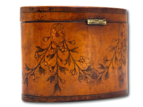 Rear side of the Georgian Satinwood Tea Caddy