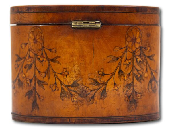 Rear of the Georgian Satinwood Tea Caddy