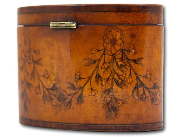 Rear side of the Georgian Satinwood Tea Caddy