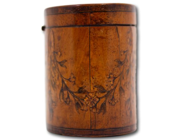 Side of the Georgian Satinwood Tea Caddy