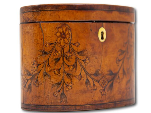 Front side of the Georgian Satinwood Tea Caddy