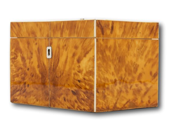 Side angle of the Blonde Tortoiseshell Tea Chest