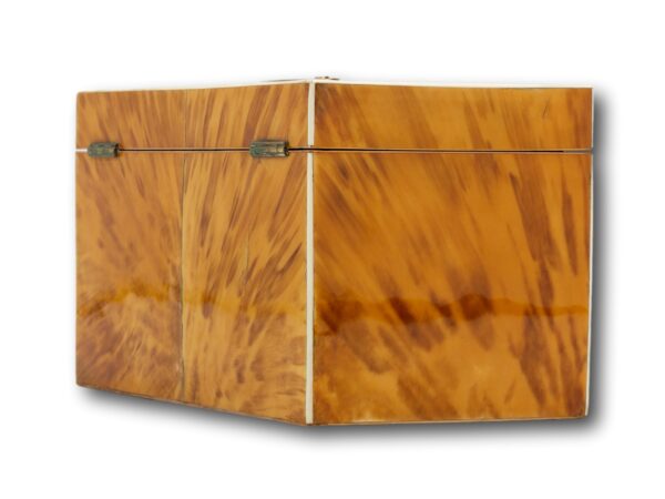 Rear angle of the Blonde Tortoiseshell Tea Chest