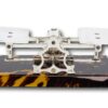 Rear of the Tortoiseshell & Silver scales