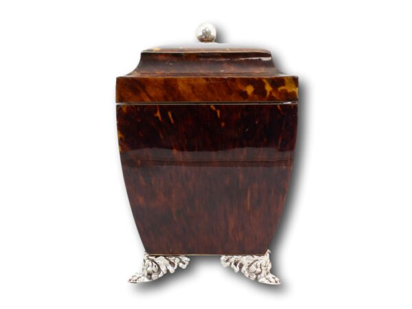 Side of the Regency Tortoiseshell Tea Chest