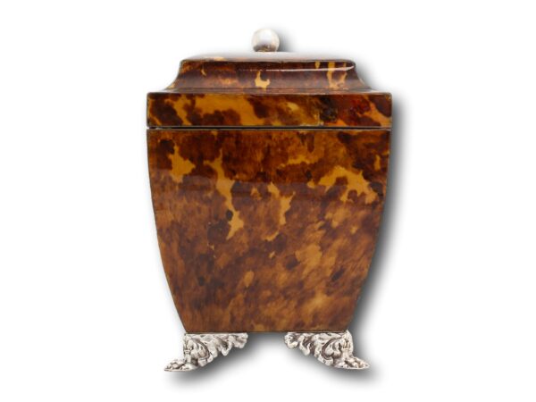 Side of the Regency Tortoiseshell Tea Chest