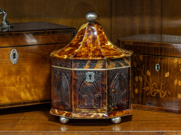 Overview of the regency octagonal tortoiseshell tea caddy in a collectors setting