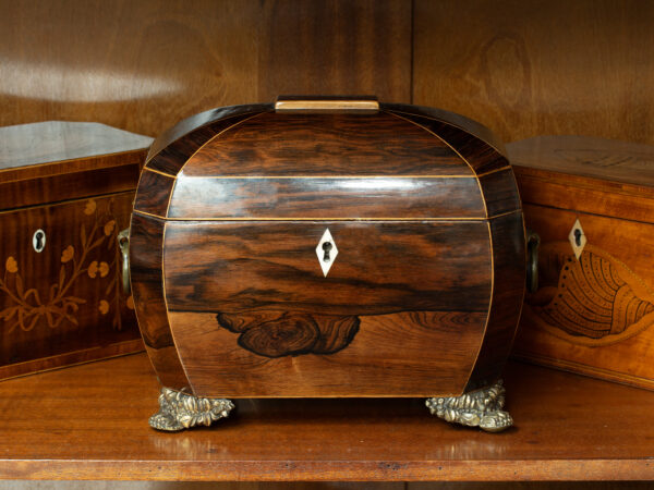 Overview of the Rosewood Tea Caddy in a decorative collectors setting