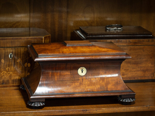 Overview of the mahogany tea caddy in a decorative collectors setting