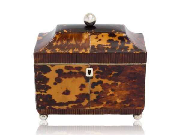 Overview of the Regency Tortoiseshell Tea Caddy