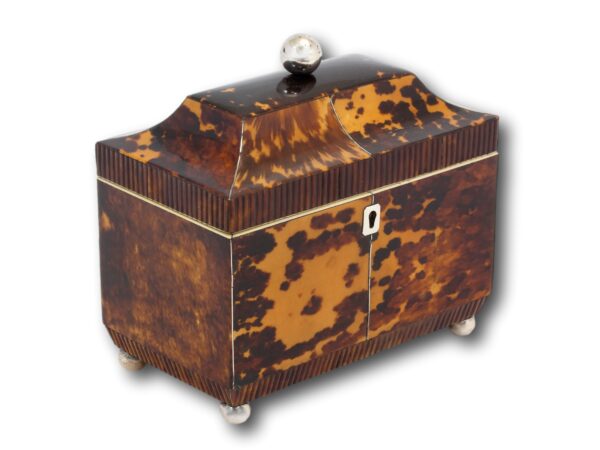 Front overview of the Regency Tortoiseshell Tea Caddy