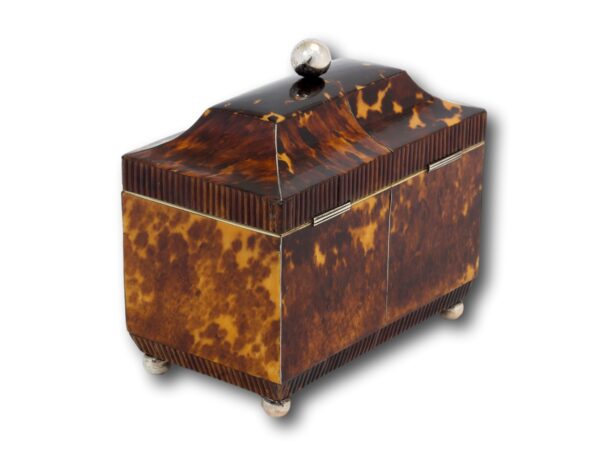 Rear overview of the Regency Tortoiseshell Tea Caddy