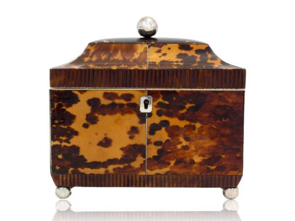 Front of the Regency Tortoiseshell Tea Caddy