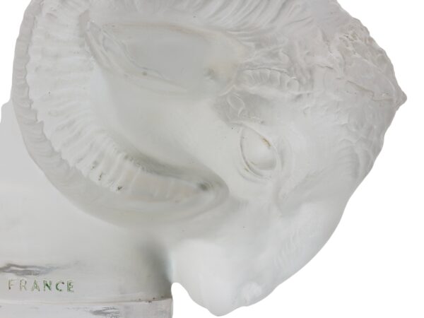 Close up of the Rams head