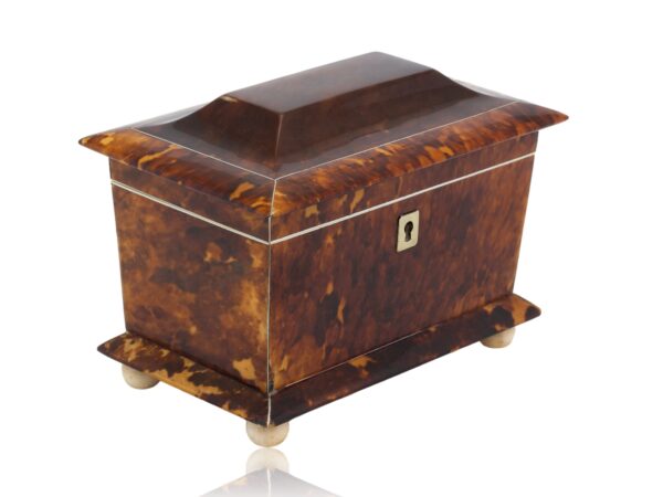 Front overview of the Tortoiseshell Tea Caddy