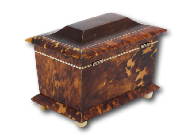 Rear overview of the Tortoiseshell Tea Caddy