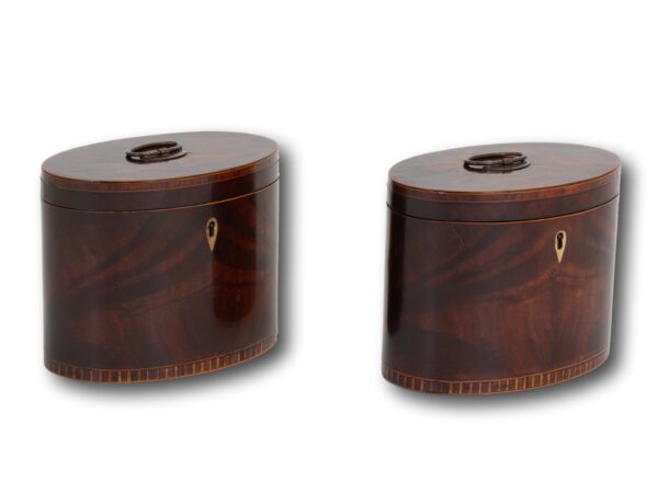 Front overview of the Georgian Pair of Mahogany Tea Caddies