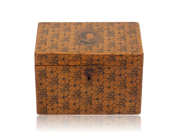 Front overview of the Scottish Mauchline Ware Tea Caddy