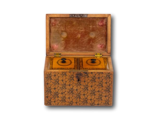 Front of the Scottish Mauchline Ware Tea Caddy with the lid up