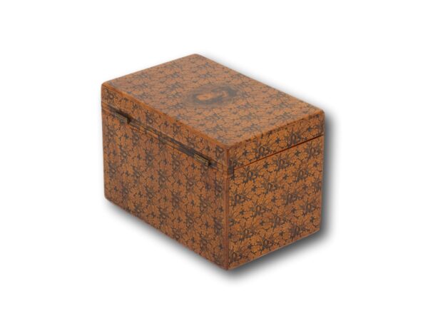 Rear overview of the Scottish Mauchline Ware Tea Caddy