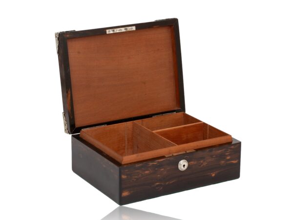 Front overview of the Coromandel Silver Mounted Cigar Box with the lid up