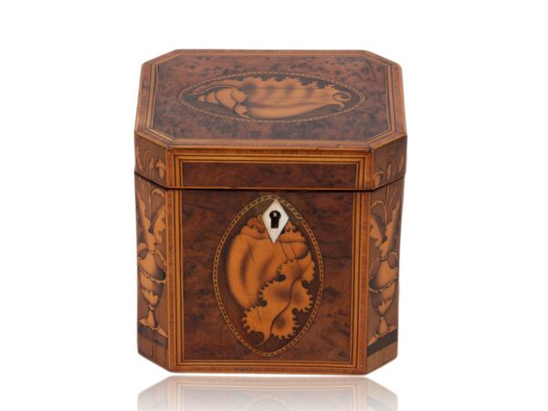 Front of the Burr Yew Canted Corner Tea Caddy