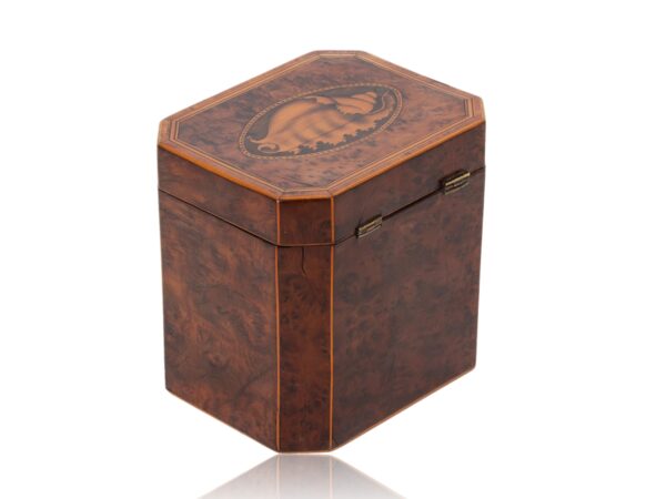 Rear overview of the Burr Yew Canted Corner Tea Caddy