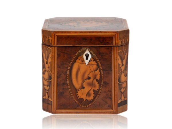Front of the Burr Yew Canted Corner Tea Caddy