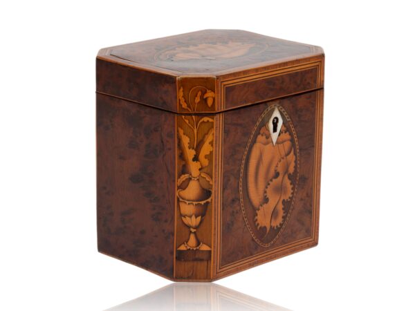 Front overview of the Burr Yew Canted Corner Tea Caddy