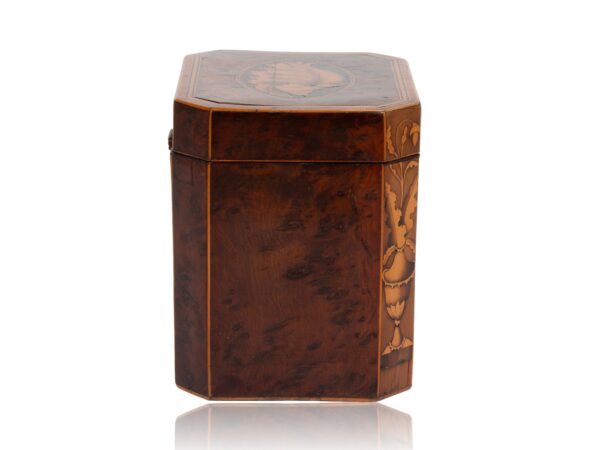 Side of the Burr Yew Canted Corner Tea Caddy