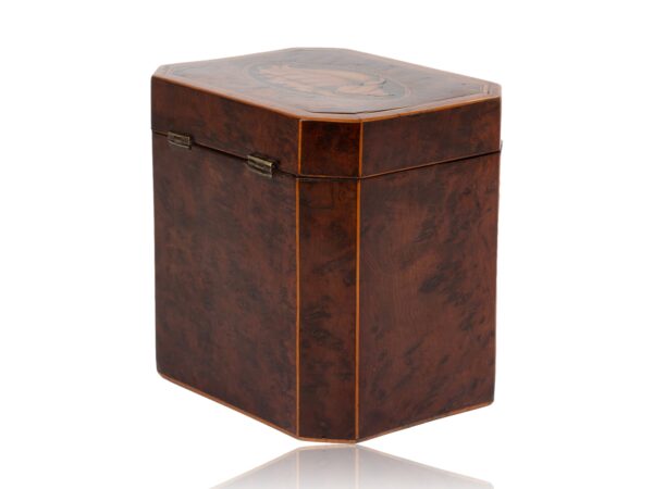 Rear overview of the Burr Yew Canted Corner Tea Caddy