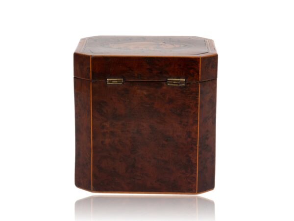 Rear of the Burr Yew Canted Corner Tea Caddy