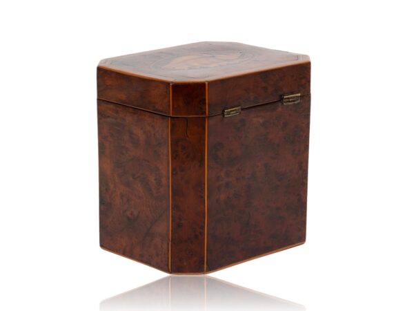 Rear overview of the Burr Yew Canted Corner Tea Caddy