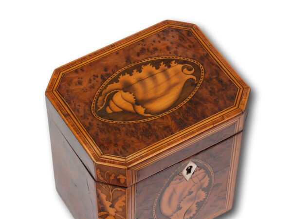 Lid of the Burr Yew Canted Corner Tea Caddy