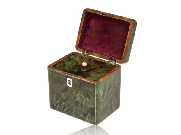 Front overview of the Green Tortoiseshell Tea Caddy with the lid up
