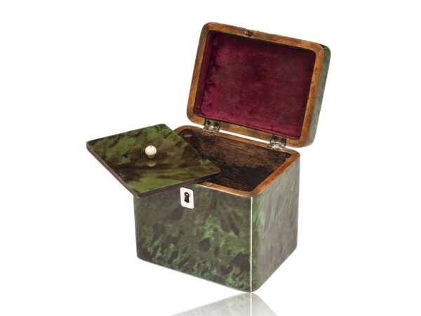 Front overview of the Green Tortoiseshell Tea Caddy with the lid up and caddy lid off