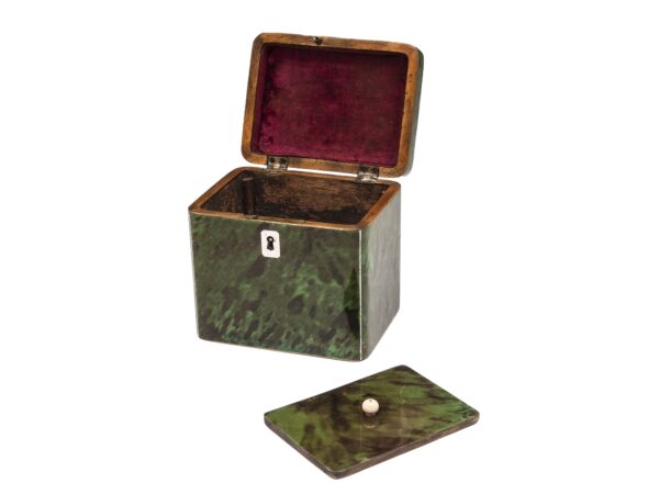 Front overview of the Green Tortoiseshell Tea Caddy with the lid up and caddy lid off