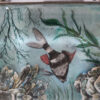 Close up of the McMurdo Aquarium Table Lighter aquarium scene
